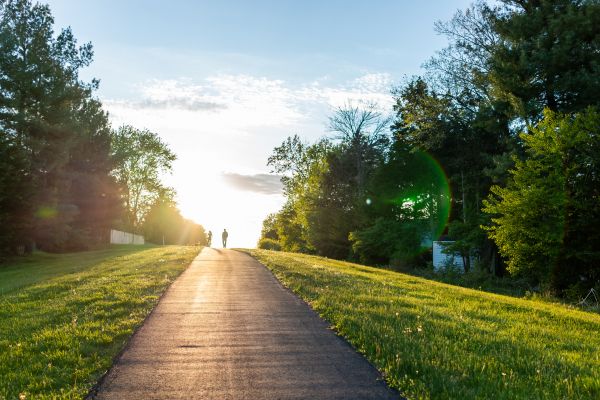Cost of Asphalt Pathway Installation in Kingwood